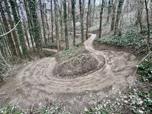 Ein unbefestigter Mountainbike-Track schlängelt sich durch einen Wald mit hohen, dünnen Bäumen und grünem Efeu, der den Boden bedeckt. Der Weg weist scharfe Kurven auf und bildet enge Serpentinen durch das Waldgelände.