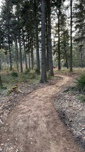 Ein gewundener Feldweg führt durch einen Wald mit hohen Bäumen und spärlichem Unterholz. Sonnenlicht fällt durch die Äste, Blätter liegen verstreut auf dem Boden – in der Ferne ist zwischen den Bäumen ein rotes Mountainbike zu erkennen.