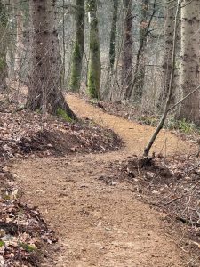 Ein gewundener Feldweg schlängelt sich durch einen Wald mit hohen Bäumen und verstreutem Laub – perfekt für jeden Mountainbike-Enthusiasten. Die kahlen Bäume lassen auf Spätherbst oder Winter schließen und machen die Strecke zu einer idealen Strecke für Mountainbiker.