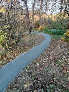 Eine schmale, frisch asphaltierte MTB-Strecke schlängelt sich durch ein Waldstück mit Bäumen und Laub. Die Szenerie strahlt eine friedliche Herbststimmung aus und lädt Mountainbike-Enthusiasten zum Erkunden ein.